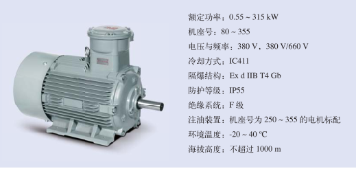 防爆電機銘牌各個參數(shù)的含義是什么