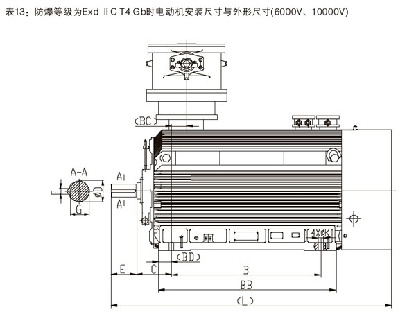 ybx3